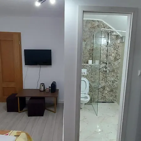 Guest house Antic House *